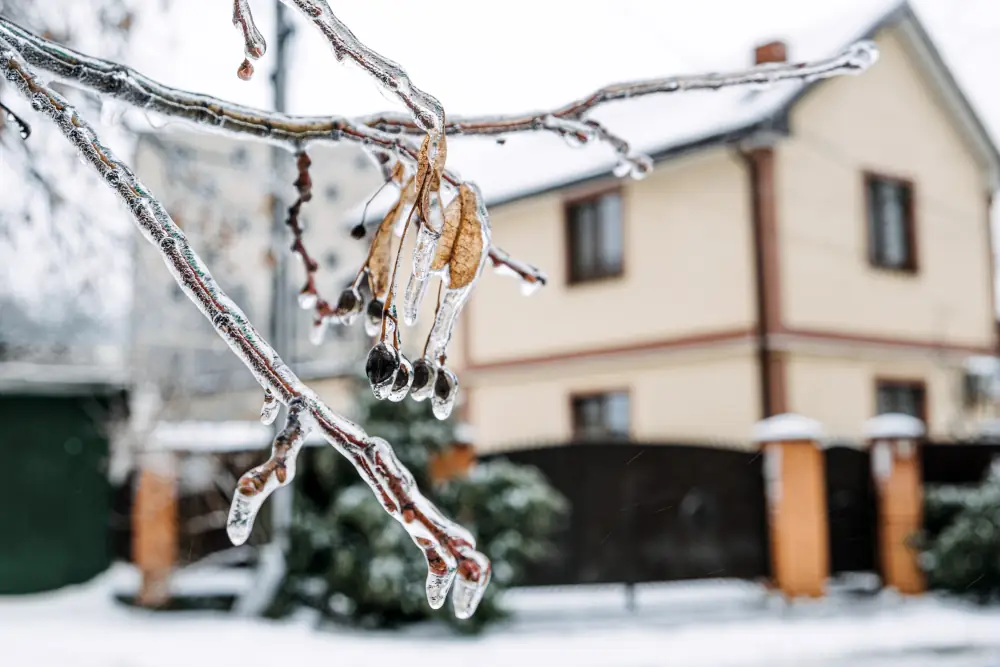 Boosting Your Cooling Efficiency: The Essential Guide to Insulating AC Refrigerant Lines - Frozen branch, snow and house in the background